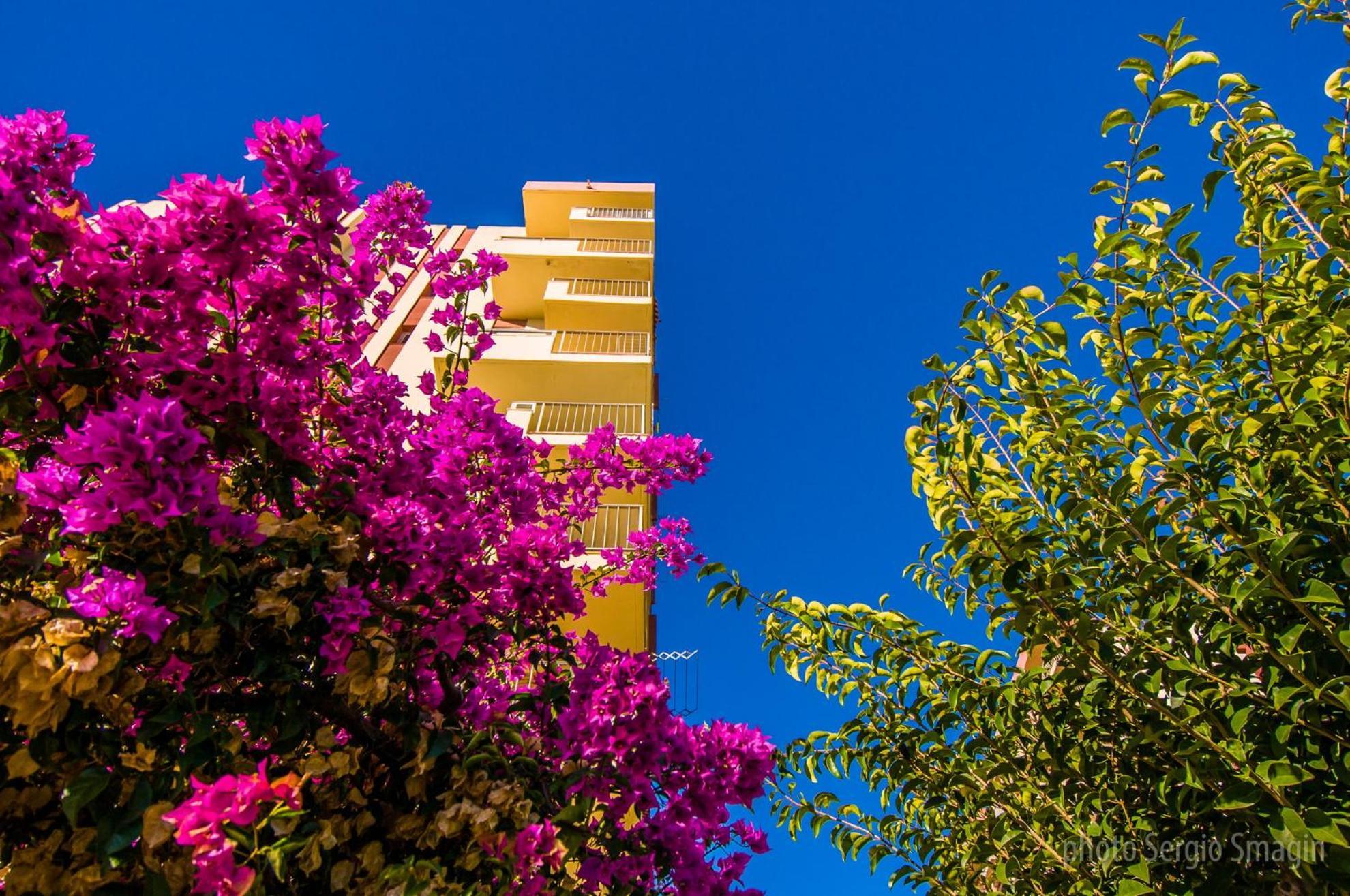 908 Minerva Apartamentos - Vistas Al Mar - Piscina Y Playa بينالماذينا المظهر الخارجي الصورة