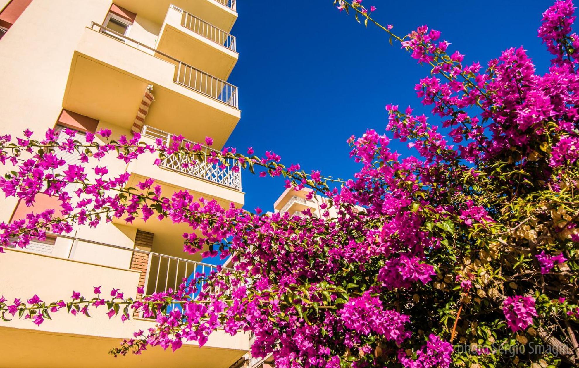 908 Minerva Apartamentos - Vistas Al Mar - Piscina Y Playa بينالماذينا المظهر الخارجي الصورة